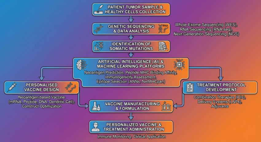 Személyre szabott rákterápia folyamatábrája, ahol az MI generálja a vakcina tervét: A Generatív AI használata a genomika és az immunterápia összekapcsolásában a célzott kezelés érdekében